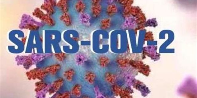 SARS-COV-2