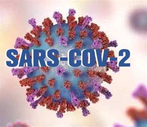 SARS-COV-2